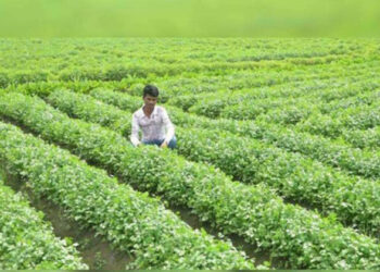 प्रतीकात्मक चित्र