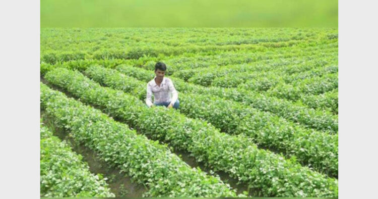 प्रतीकात्मक चित्र