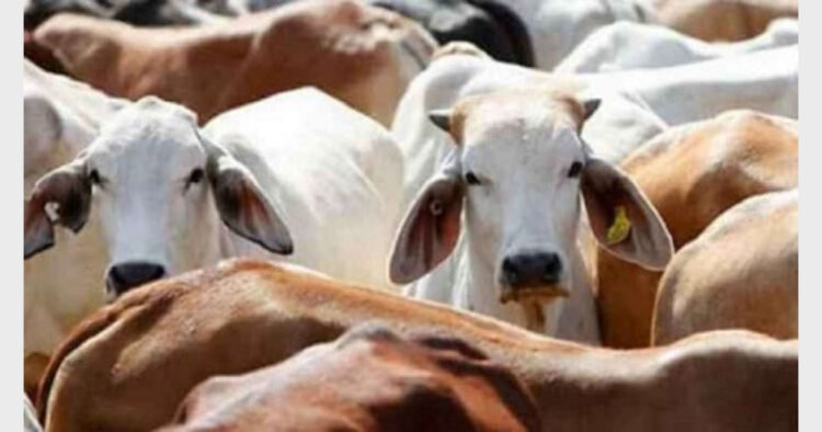प्रतीकात्मक चित्र