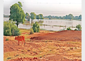 तालाब, खेतों की प्यास, जैसलमेर, मूलसागर के पास गांव में बना खड़ीन