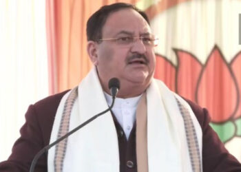 जेपी नड्डा, बीजेपी के राष्ट्रीय अध्यक्ष