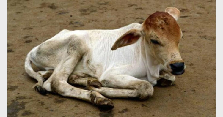 प्रतीकात्मक - चित्र