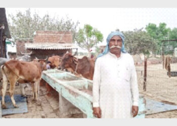 भरतपुर के गोपाल ठाकुर ने अपने खेत में ही बायोगैस प्लांट लगाया है, जिससे बिजली और खाद की जरूरतें पूरी होती हैं