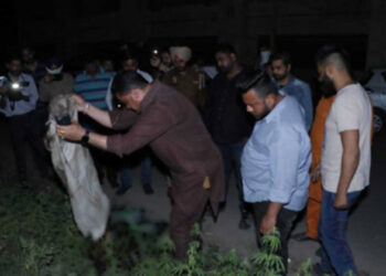 जालंधर में मौके पर हिंदू संगठन के कार्यकर्ता और पुलिस।