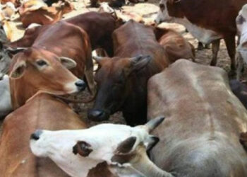 प्रतीकात्मक चित्र