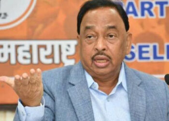 नारायण राणे, केंद्रीय मंत्री
