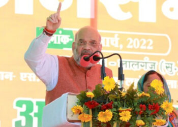 अमित शाह, केंद्रीय गृहमंत्री