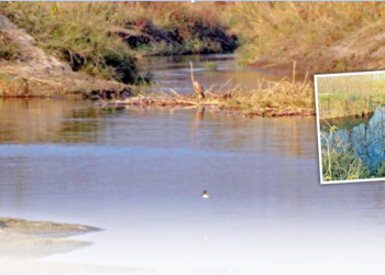 ग्रामीणों की मेहनत से थपाना नदी अब स्वच्छ हो गई है