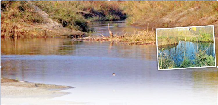 ग्रामीणों की मेहनत से थपाना नदी अब स्वच्छ हो गई है