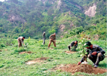 हिमालयी क्षेत्र में पौधारोपण करते ईको टास्कफोर्स के पर्यावरण प्रहरी