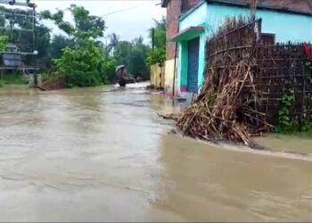 अररिया जिले में बाढ़ का एक दृश्य