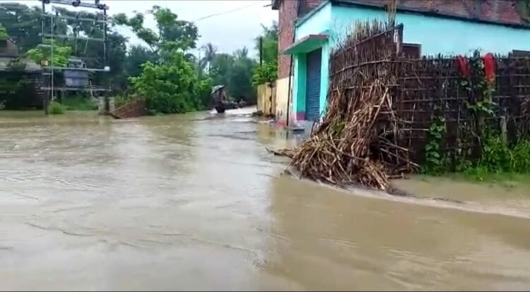 अररिया जिले में बाढ़ का एक दृश्य