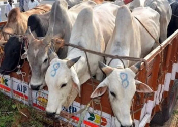 प्रतीकात्मक चित्र