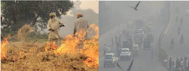 एक तरफ पंजाब  पराली जलाई जा रही दूसरी ओर दिल्ली प्रदूषण  से बेहाल