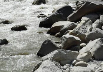 नेपाल की काली गंडकी नदी में शालिग्राम पत्थरों को ढूंढ़ा जा रहा है।