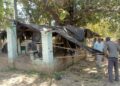 वन क्षेत्र से अवैध मजार हटाते वन कर्मी