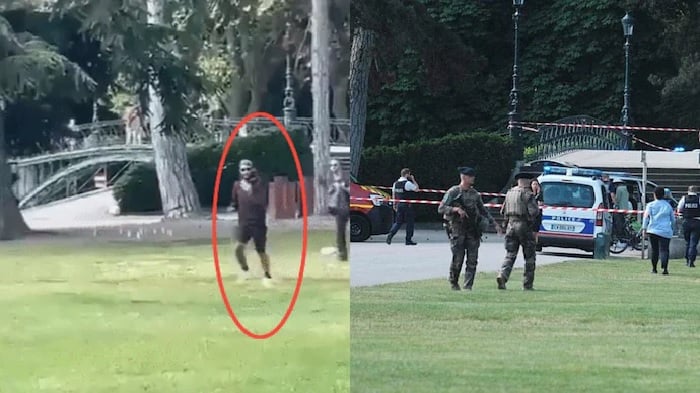 फ्रांस में पार्क पर बच्चों पर हमला करने वाला चाकूबाज