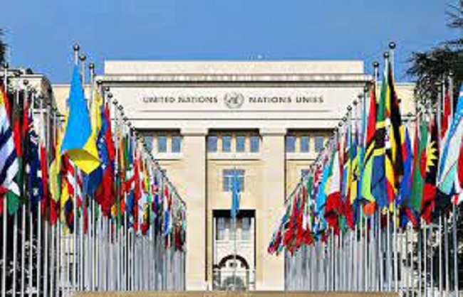संयुक्त राष्ट्र महासचिव की 17वीं रिपोर्ट में कहा गया है कि संयुक्त राष्ट्र के सदस्य देश अफगानिस्तान, मध्य पूर्व और अफ्रीका में हथियारों के प्रसार, विशेष रूप से हथियारों की पहुंच को लेकर चिंतित हैं