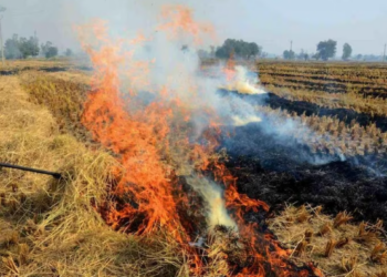 प्रतीकात्मक चित्र