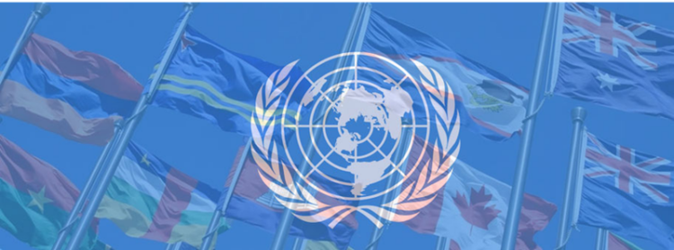 संयुक्त राष्ट्र महासभा के बारे में एक अवधारणा बनती जा रही है कि यह अपने मूल कर्तव्यों से भटक गई है (प्रतीकात्मक चित्र)