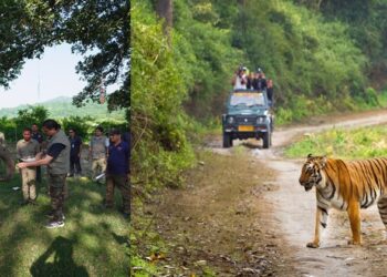 Uttarakhand, jim corbett national park, encroachment pushkar singh dhami