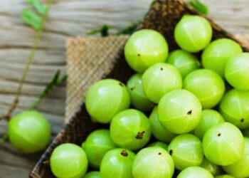 Amla Khane ke Fayde, benefits of amla, benefits of amla juice, benefits of eating amla, कच्चा आंवला खाने के फायदे, health tips, health tips hindi