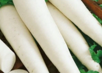 benefits of radish