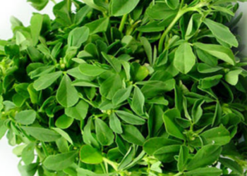 Methi Leaves Benefits