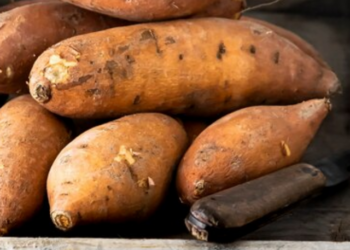 sweet potato benefits