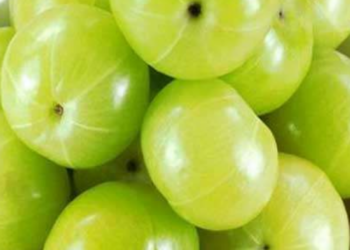 Amla Khane ke Fayde