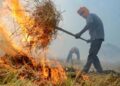 Stubble burning