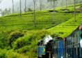 How to go to Ooty from Delhi by train, How many days are required for a trip to Ooty, What is the price of 2 days package from Mysore to Ooty, How many kilometers from Delhi to Ooty