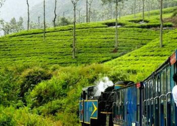 How to go to Ooty from Delhi by train, How many days are required for a trip to Ooty, What is the price of 2 days package from Mysore to Ooty, How many kilometers from Delhi to Ooty