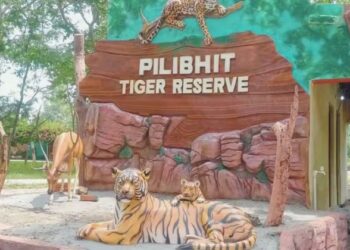 Pilibhit News, Pilibhit News Today, Pilibhit News in Hindi, pilibhit tiger reserve, chuka beach pilibhit, chuka beach photos, pilibhit tiger reserve booking, tourists, tourism, eco tourism, chuka beach pilibhit ticket price