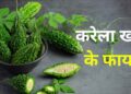 karela ke fayde, karela ke fayde hindi, karela juice, karela juice benefits, करेला के फायदे, health tips, health tips hindi