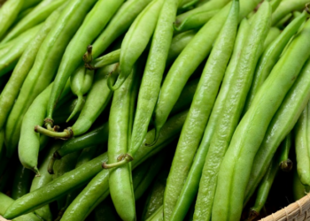 Green Beans Benefits