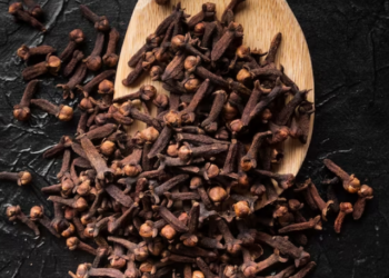 cloves benefits