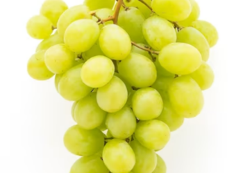 Grapes Benefits