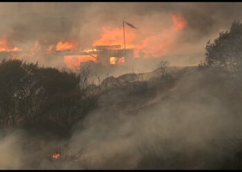 Chile forest fire