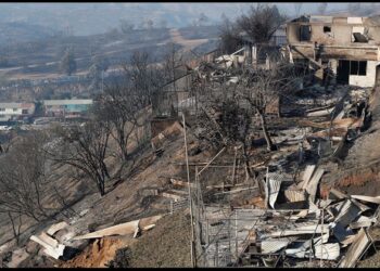 Chile Forest Fire