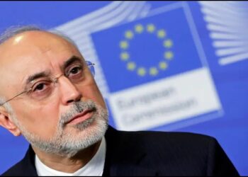 Iran Nuclear Program Ali Akbar Salehi