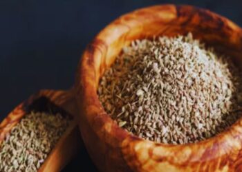 eating roasted ajwain benefits