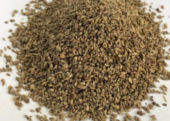eating roasted ajwain benefits