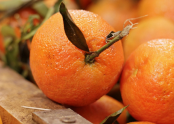 benefits of orange