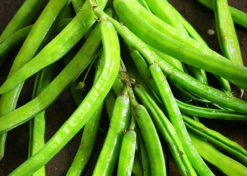 gawar phali benefits