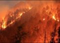 Uttarakhand forest fire