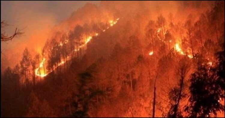 Uttarakhand forest fire
