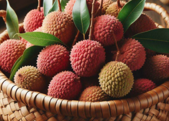 benefits of litchi