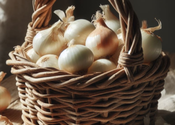 white onion benefits