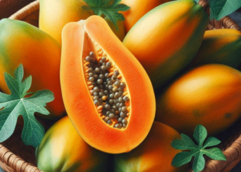 papaya benefits